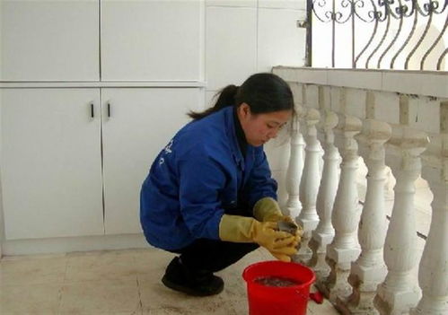 深圳醫姆健康管理 打造全方位健康服務新標桿